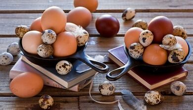 Эркектердеги потенциалды көбөйтүү үчүн жумуртка