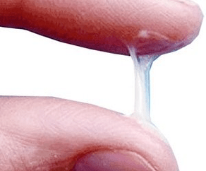 Эркектин секрециясы кадимкидей көрүнөт